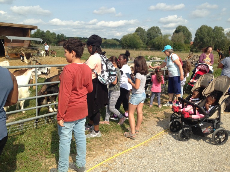 Besuch beim Gnadenhof für Tiere